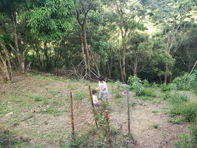 Terreno, 6000 m² - Foto 12