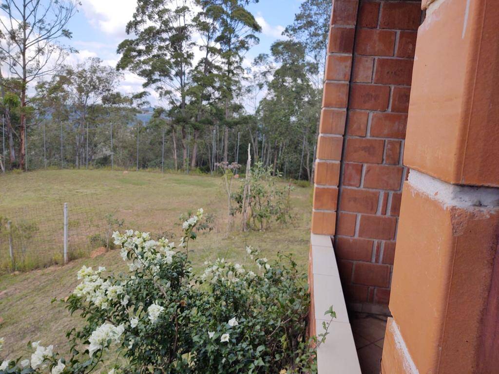 Sítio à venda com 3 quartos, 100000m² - Foto 8