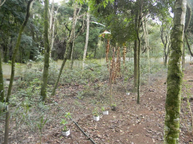 Chácara para Venda em Atibaia - 4