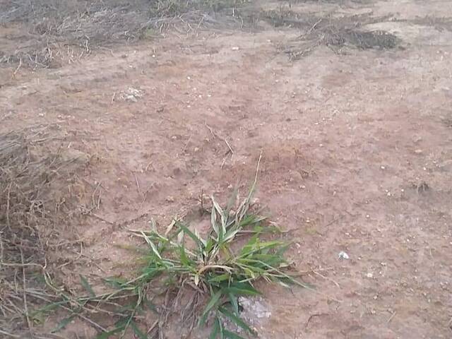 Área para Venda em Mairiporã - 4