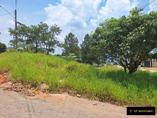 Área para Venda em Nazaré Paulista - 5