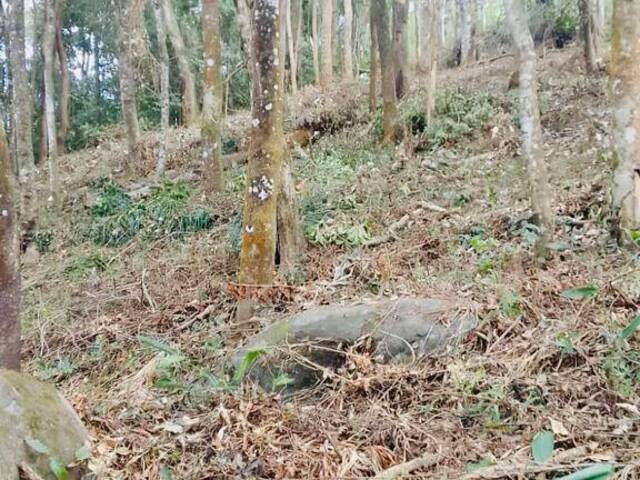 Terreno para Venda em Mairiporã - 5