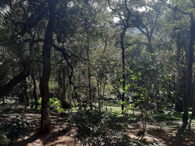 Chácara para Venda em Mairiporã - 4