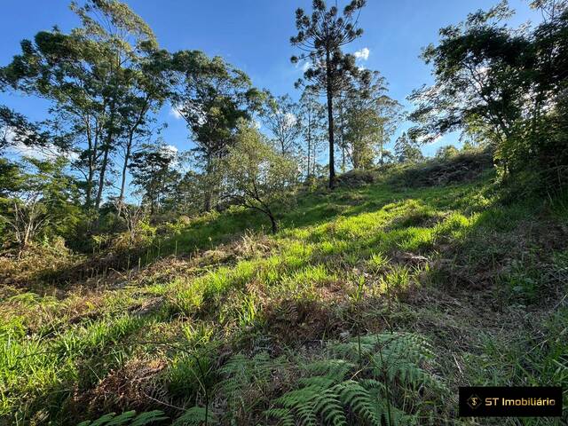 Terreno para Venda em Mairiporã - 4