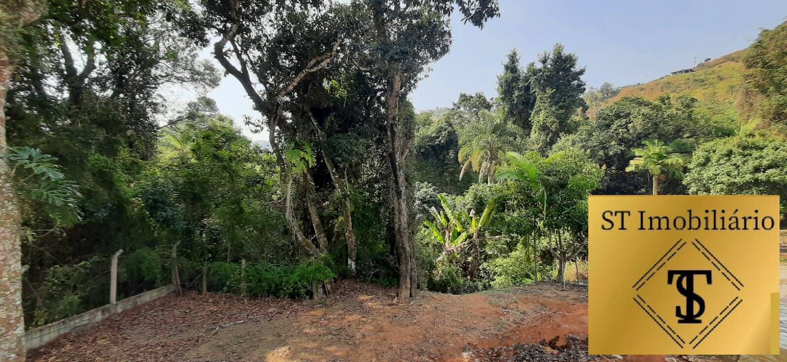 Chácara, 3 quartos, 1000 m² - Foto 15