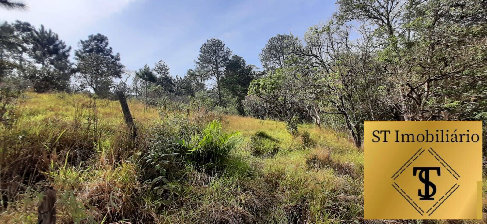 Fazenda à venda com 3 quartos, 72000m² - Foto 9