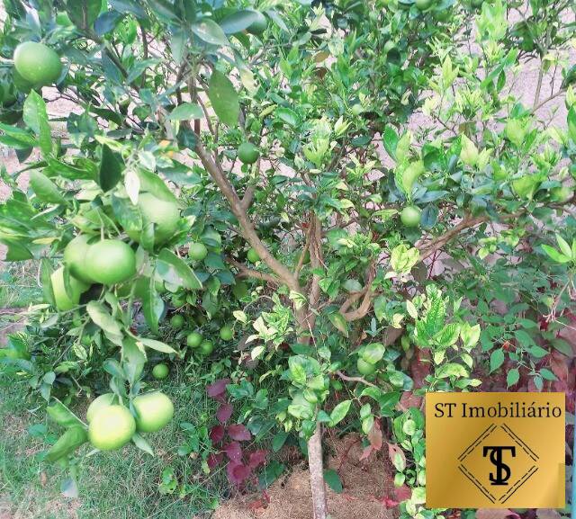 Chácara, 3 quartos, 1100 m² - Foto 12