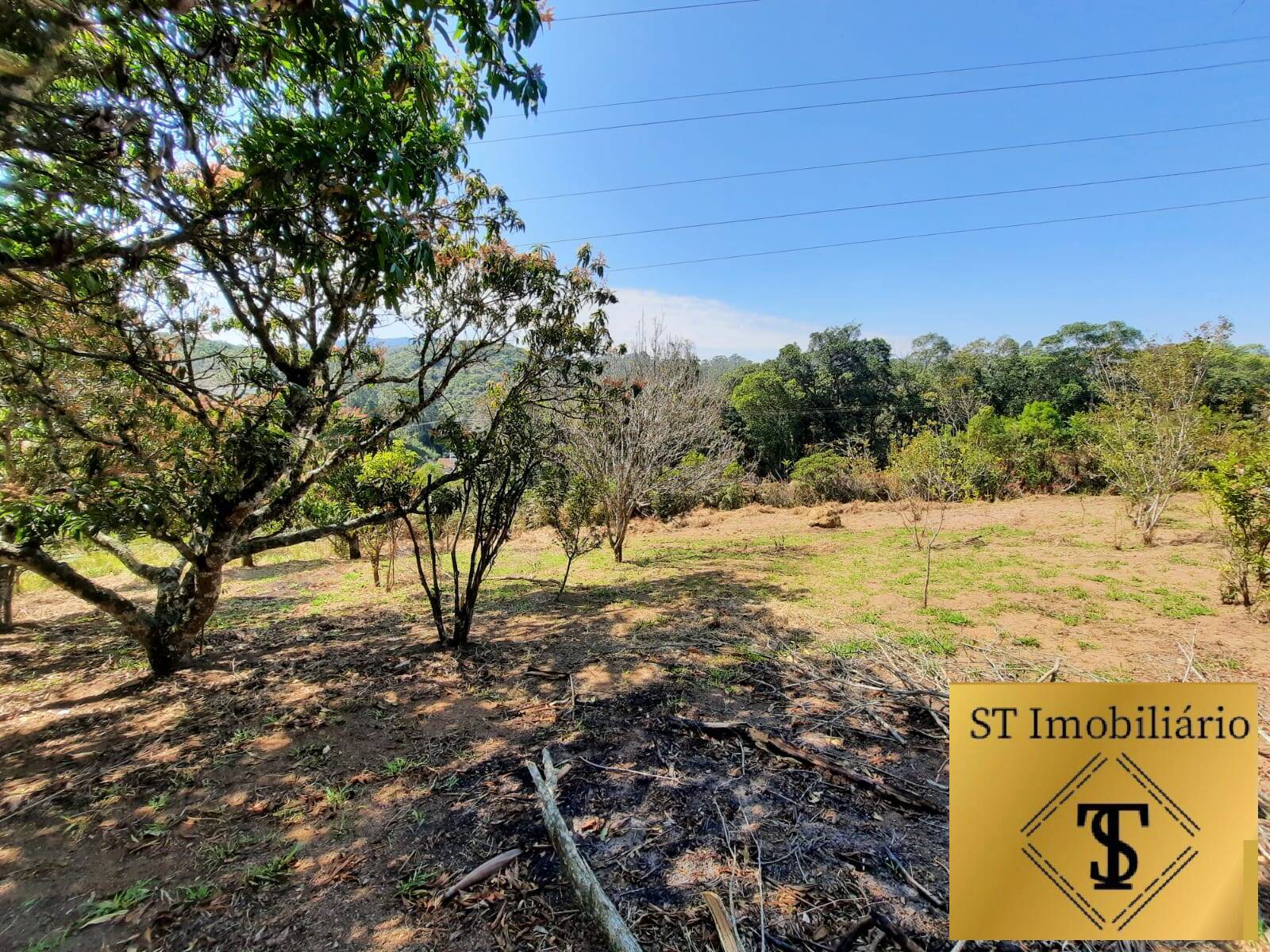 Sítio à venda com 4 quartos, 25180m² - Foto 2