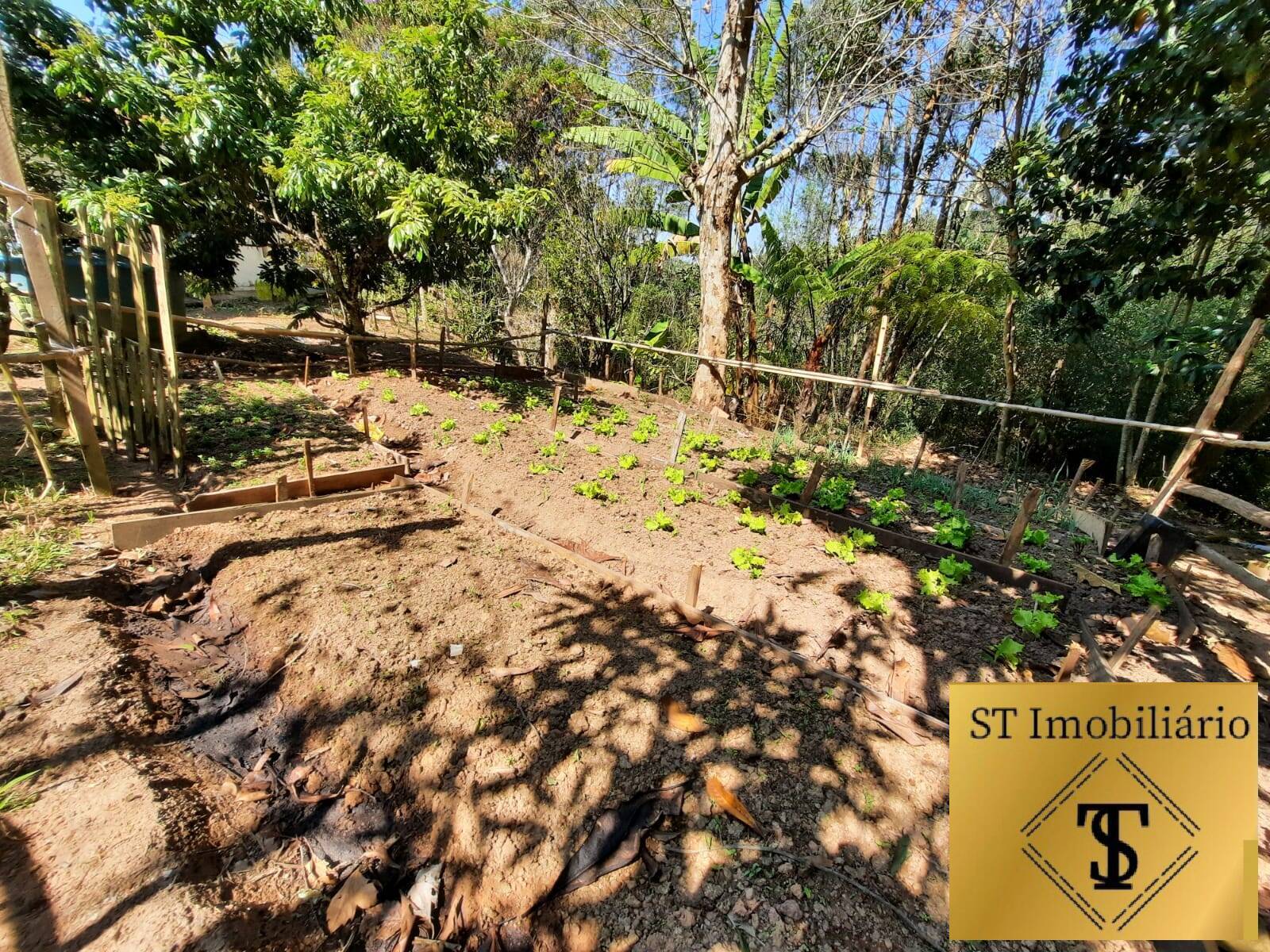 Sítio à venda com 4 quartos, 25180m² - Foto 5