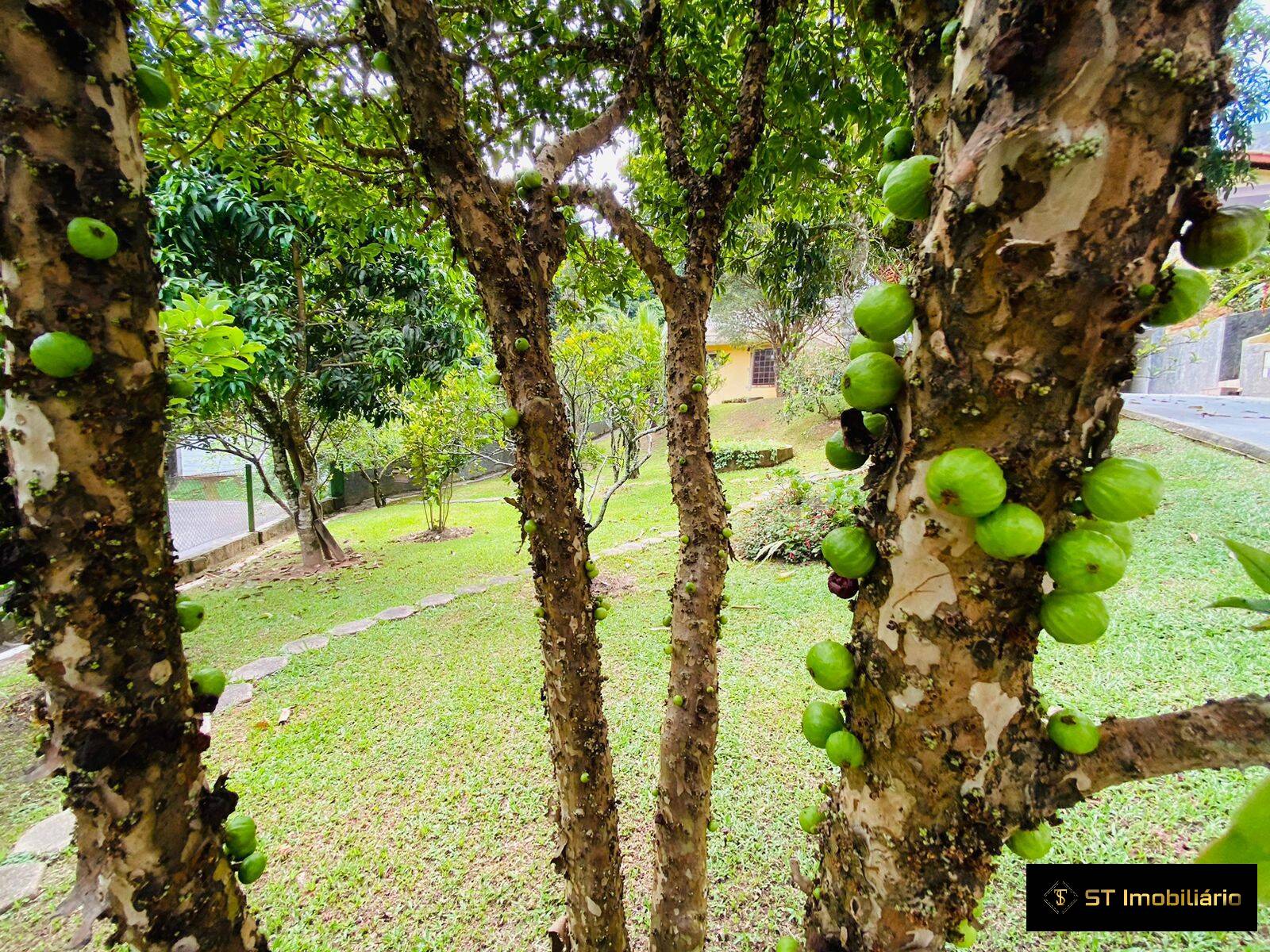 Chácara à venda com 3 quartos, 338m² - Foto 53