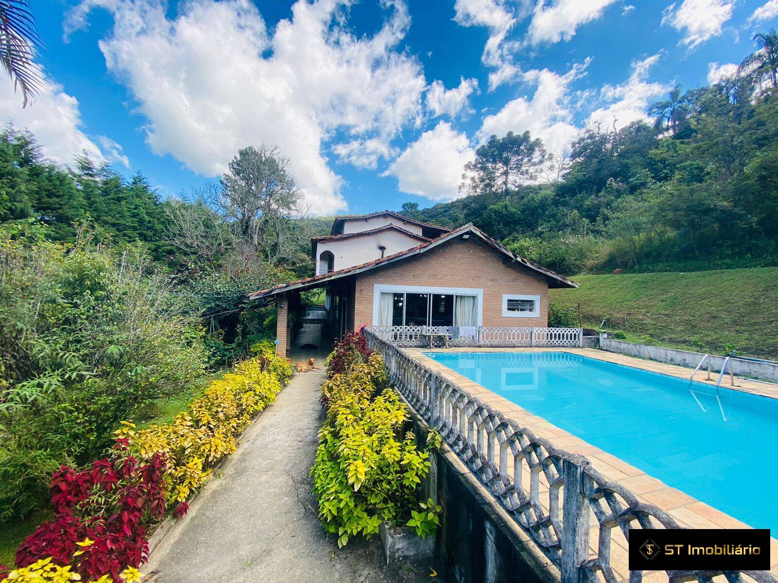 Sítio à venda com 6 quartos, 24200m² - Foto 1