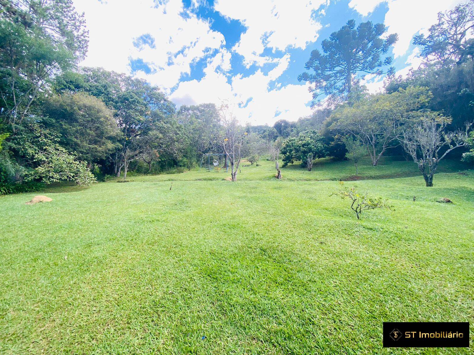 Sítio à venda com 6 quartos, 24200m² - Foto 5