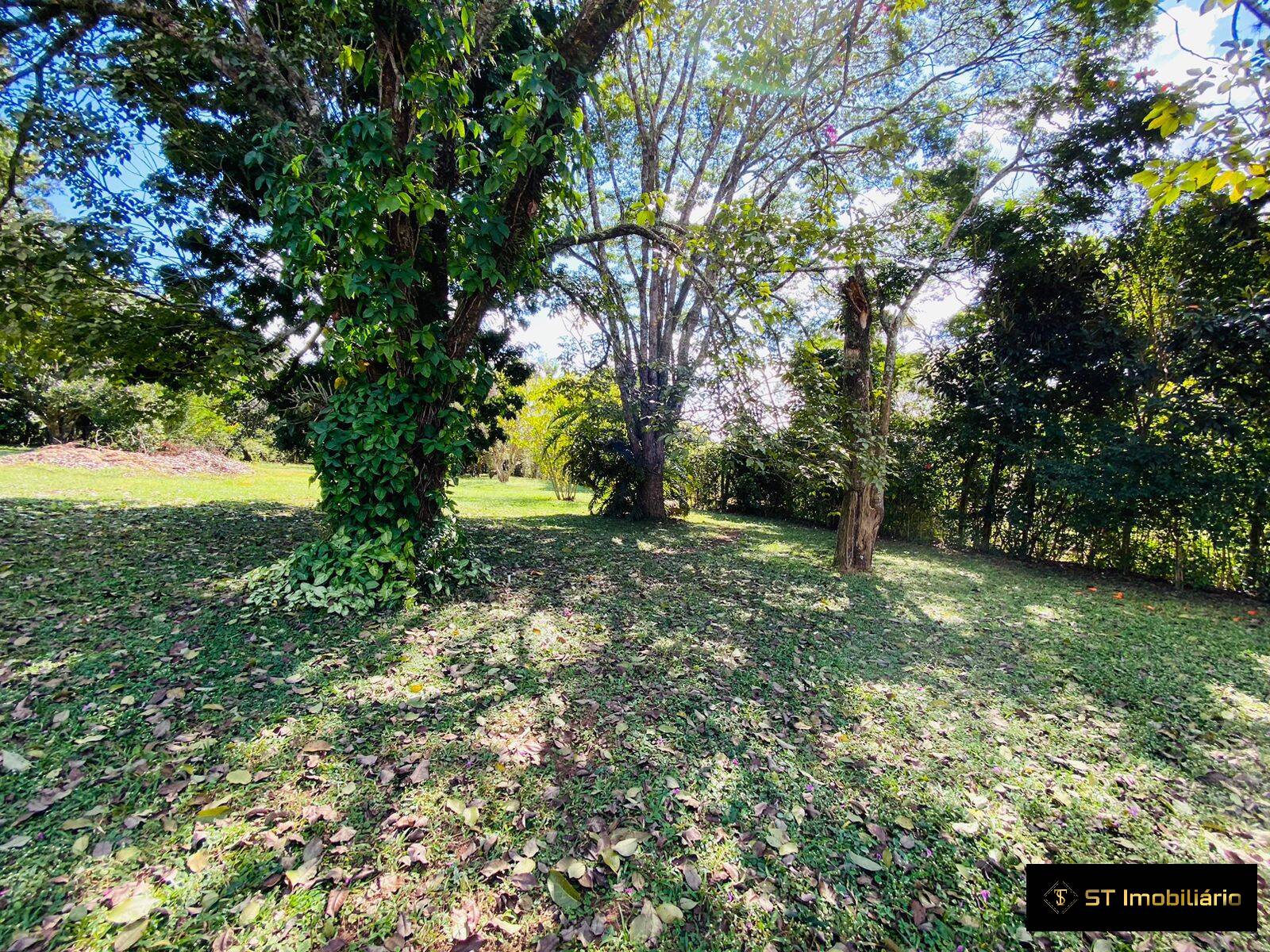 Chácara, 4 quartos, 4000 m² - Foto 8