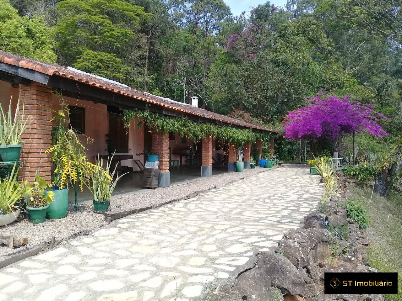 Sítio à venda com 5 quartos, 450m² - Foto 6