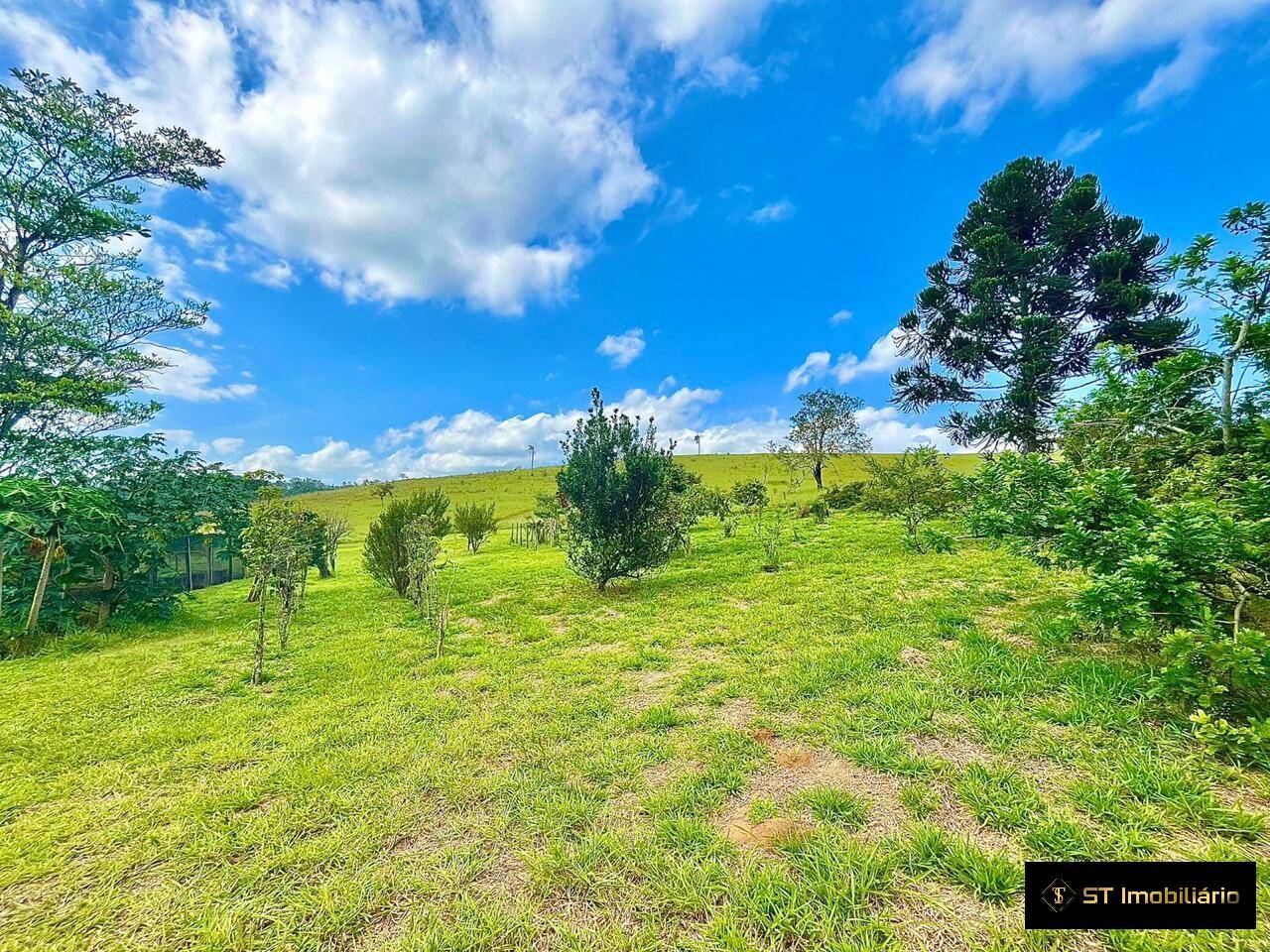 Sítio à venda com 5 quartos, 450m² - Foto 12