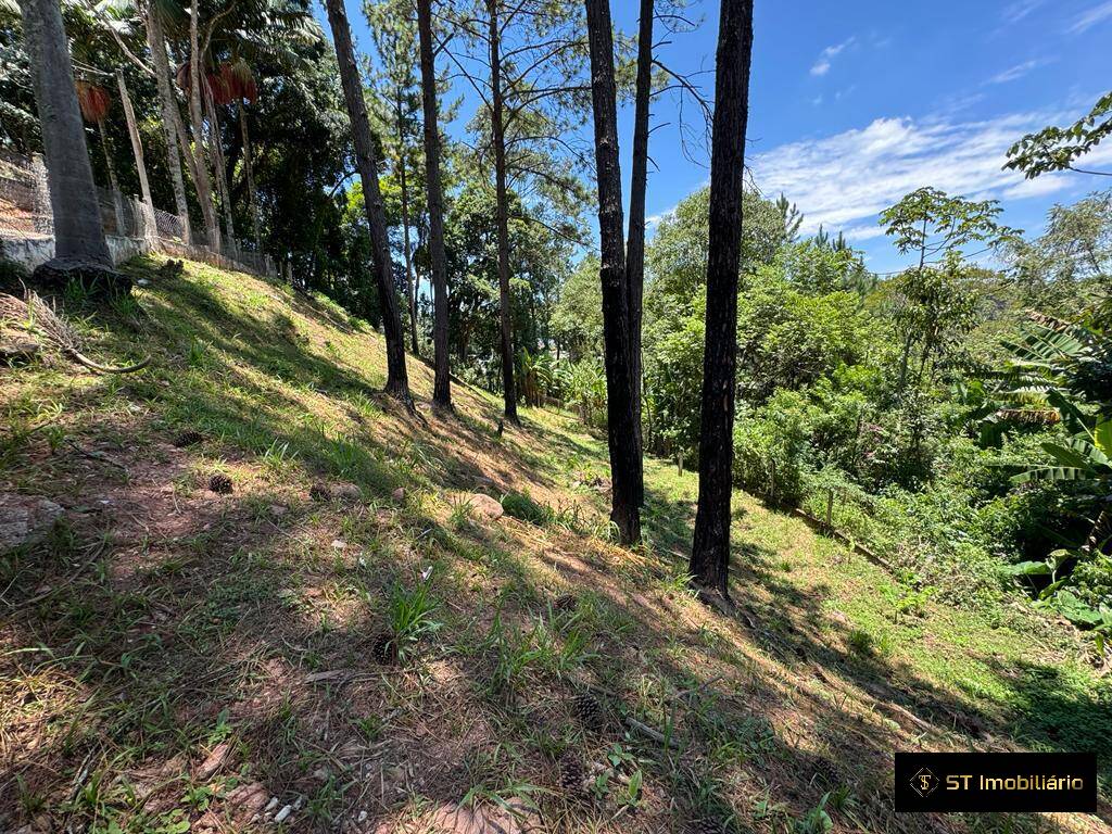 Chácara à venda com 5 quartos, 314m² - Foto 8