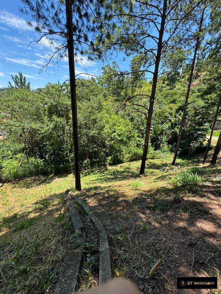 Chácara à venda com 5 quartos, 314m² - Foto 15