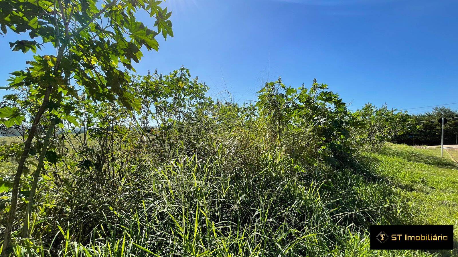 Terreno, 1000 m² - Foto 6