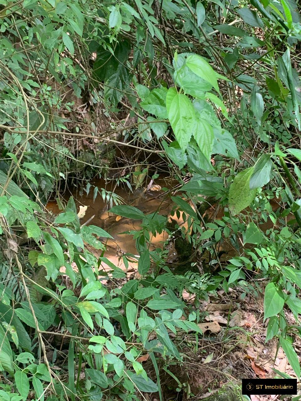 Terreno, 1 hectares - Foto 10