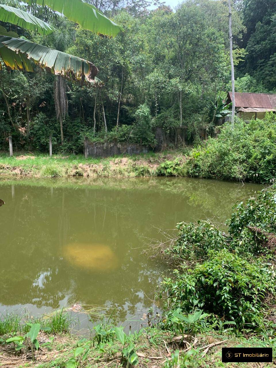 Terreno, 1 hectares - Foto 13