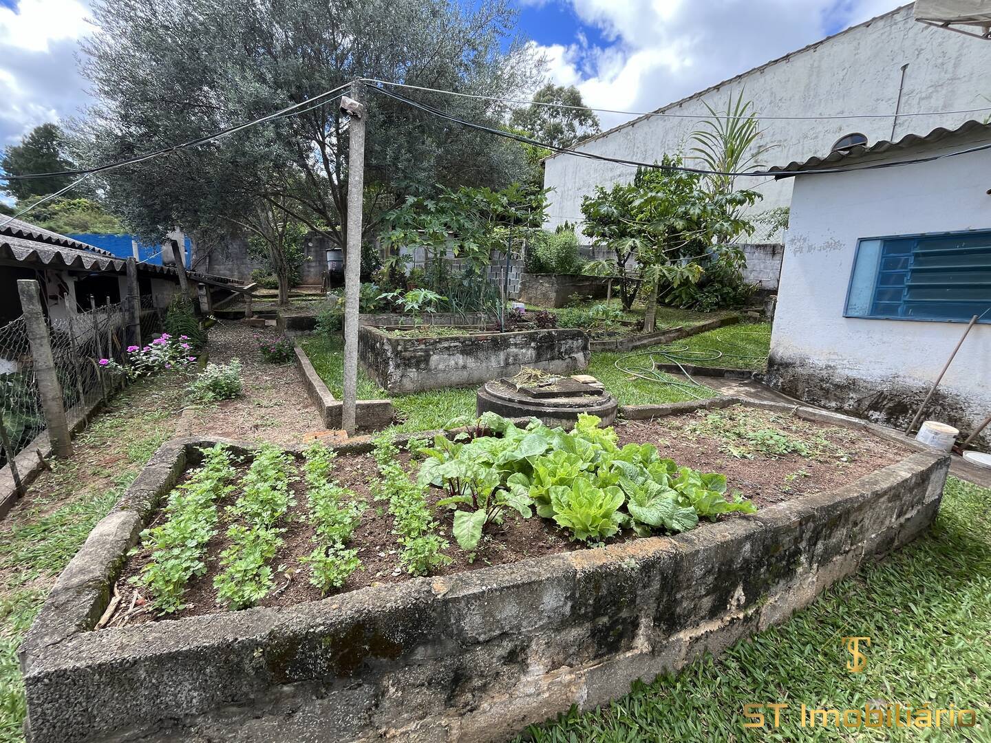 Sítio, 4 quartos, 1457 m² - Foto 12