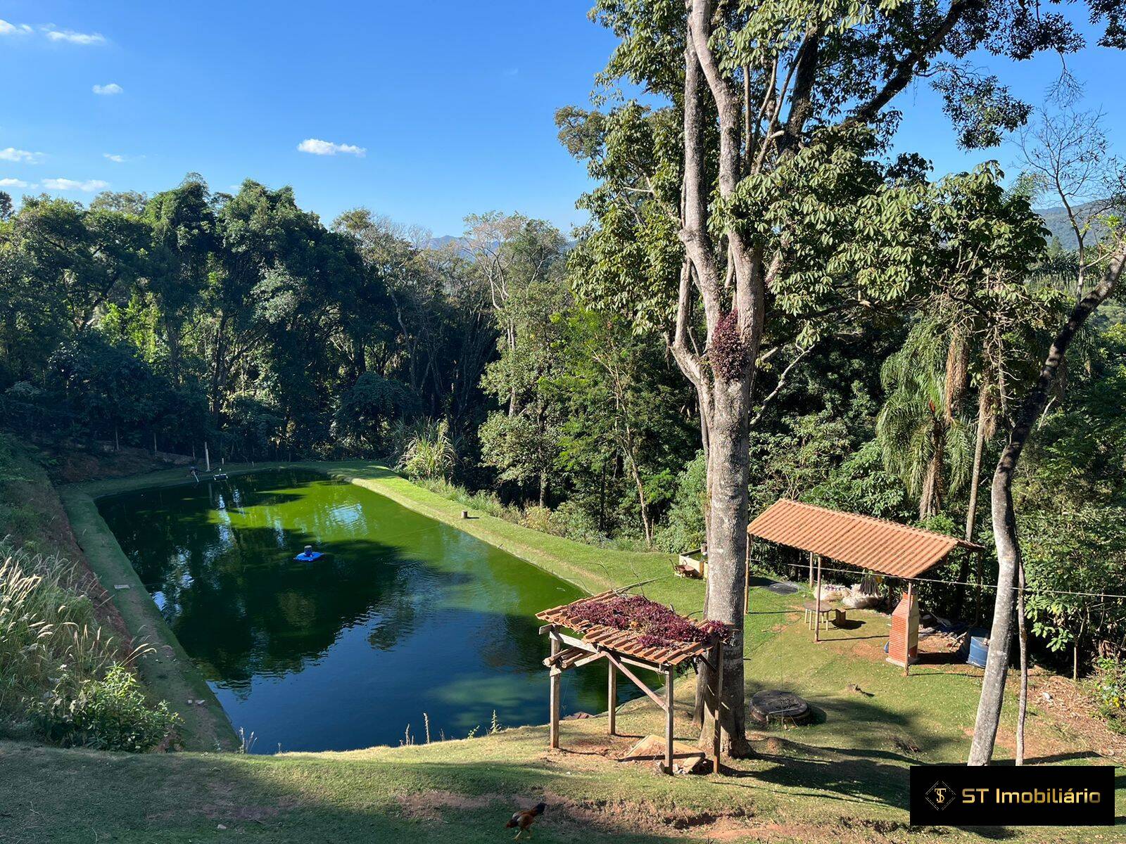 Chácara à venda com 7 quartos, 400m² - Foto 3
