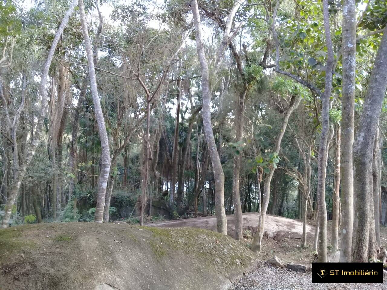 Chácara à venda com 3 quartos, 200m² - Foto 2