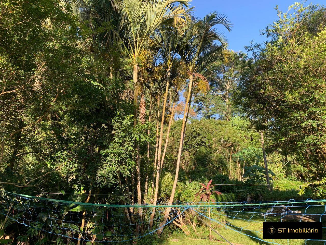 Chácara à venda com 3 quartos, 2050m² - Foto 4