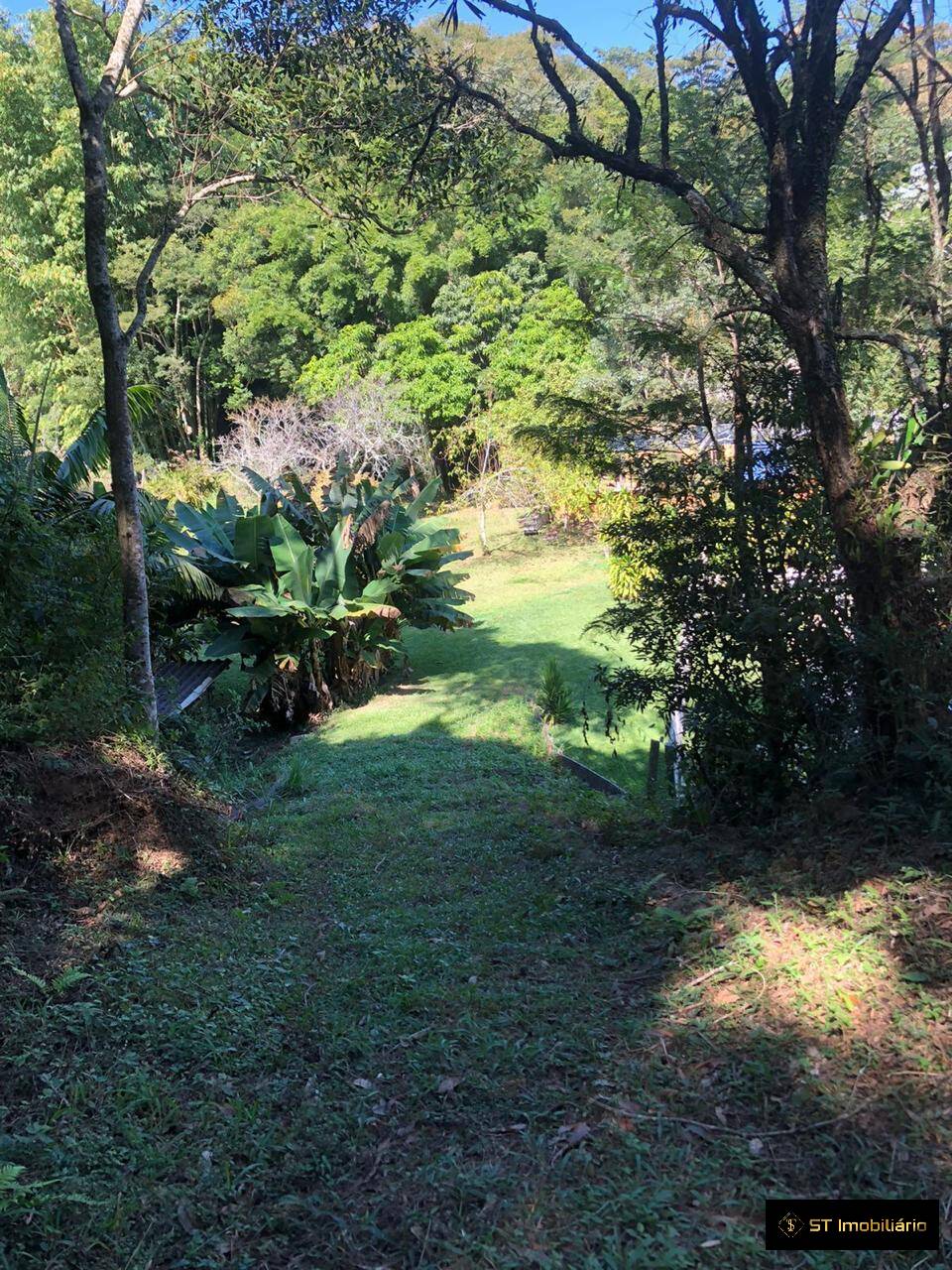 Sítio à venda com 3 quartos, 23000m² - Foto 30
