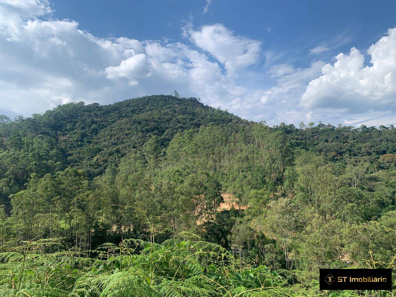 Terreno, 1232 m² - Foto 6