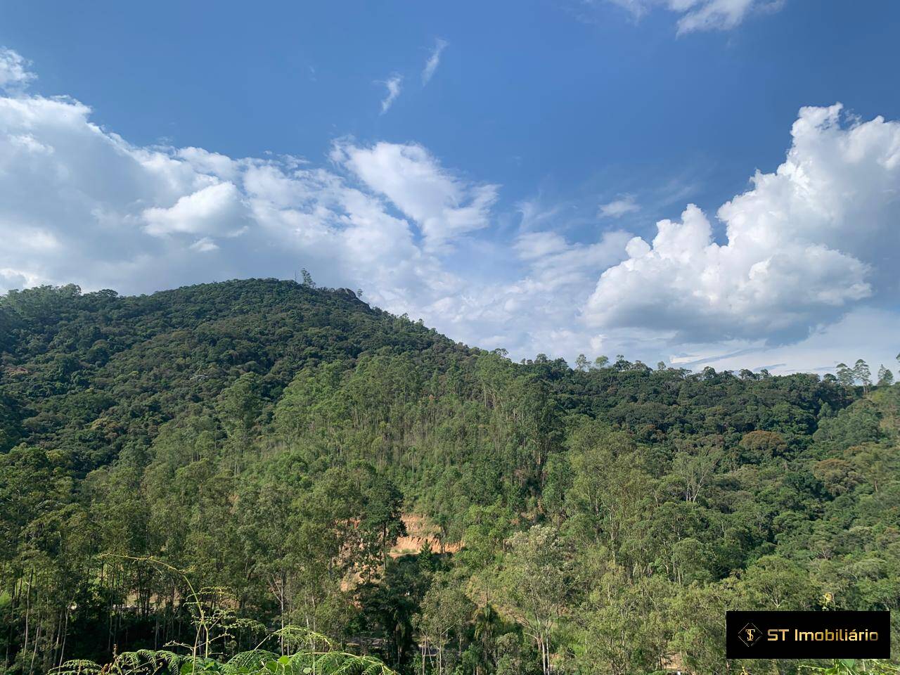 Terreno, 1232 m² - Foto 7