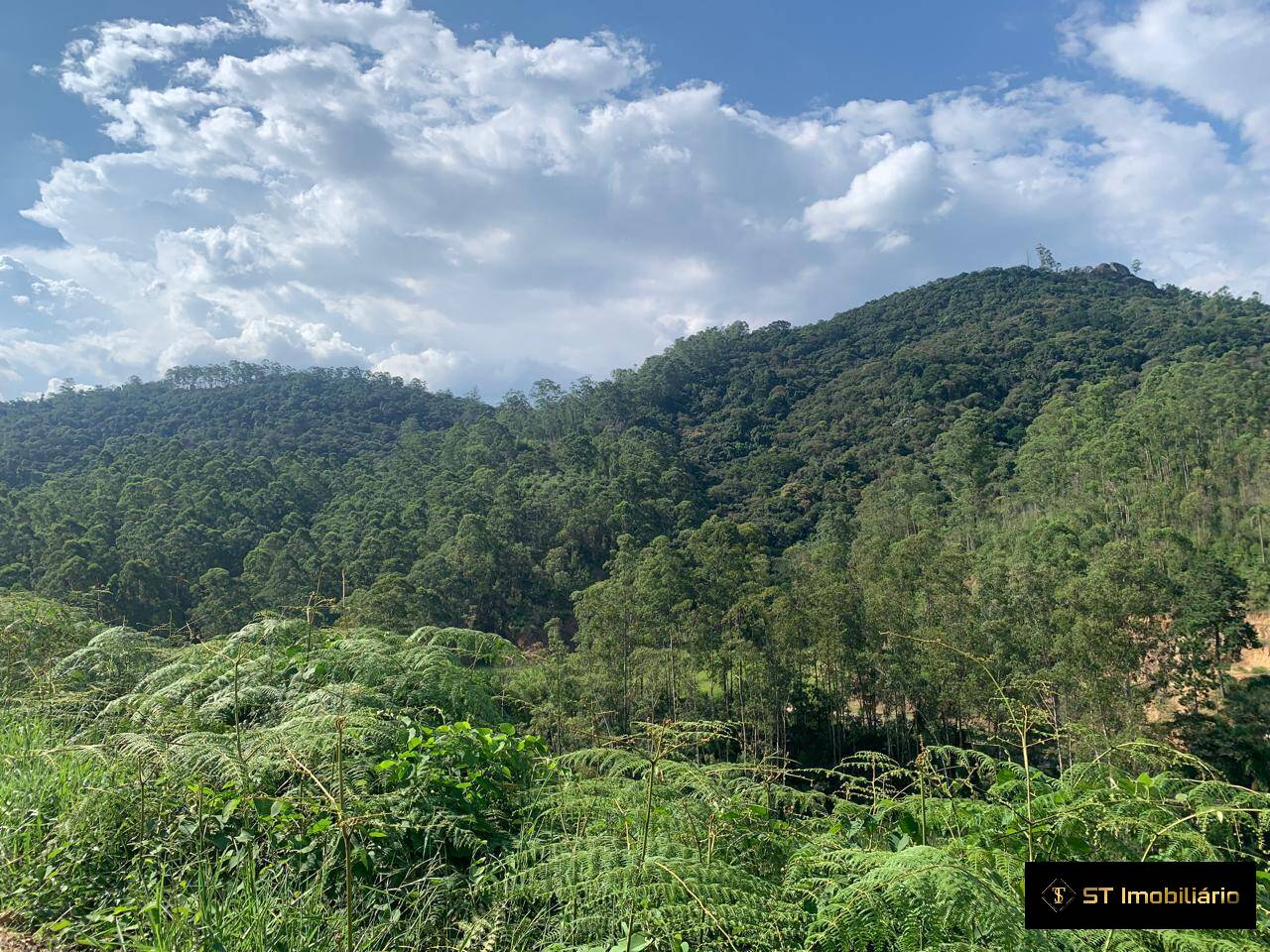 Terreno, 1232 m² - Foto 9