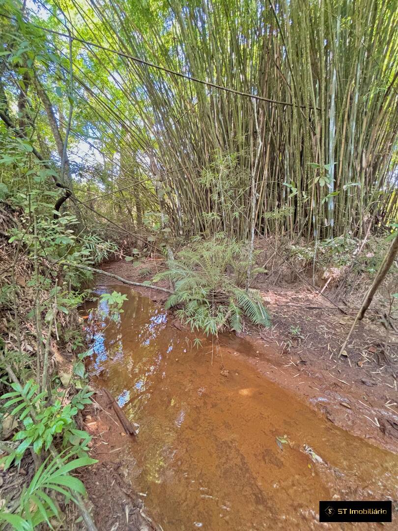 Sítio, 3 quartos, 3 hectares - Foto 6