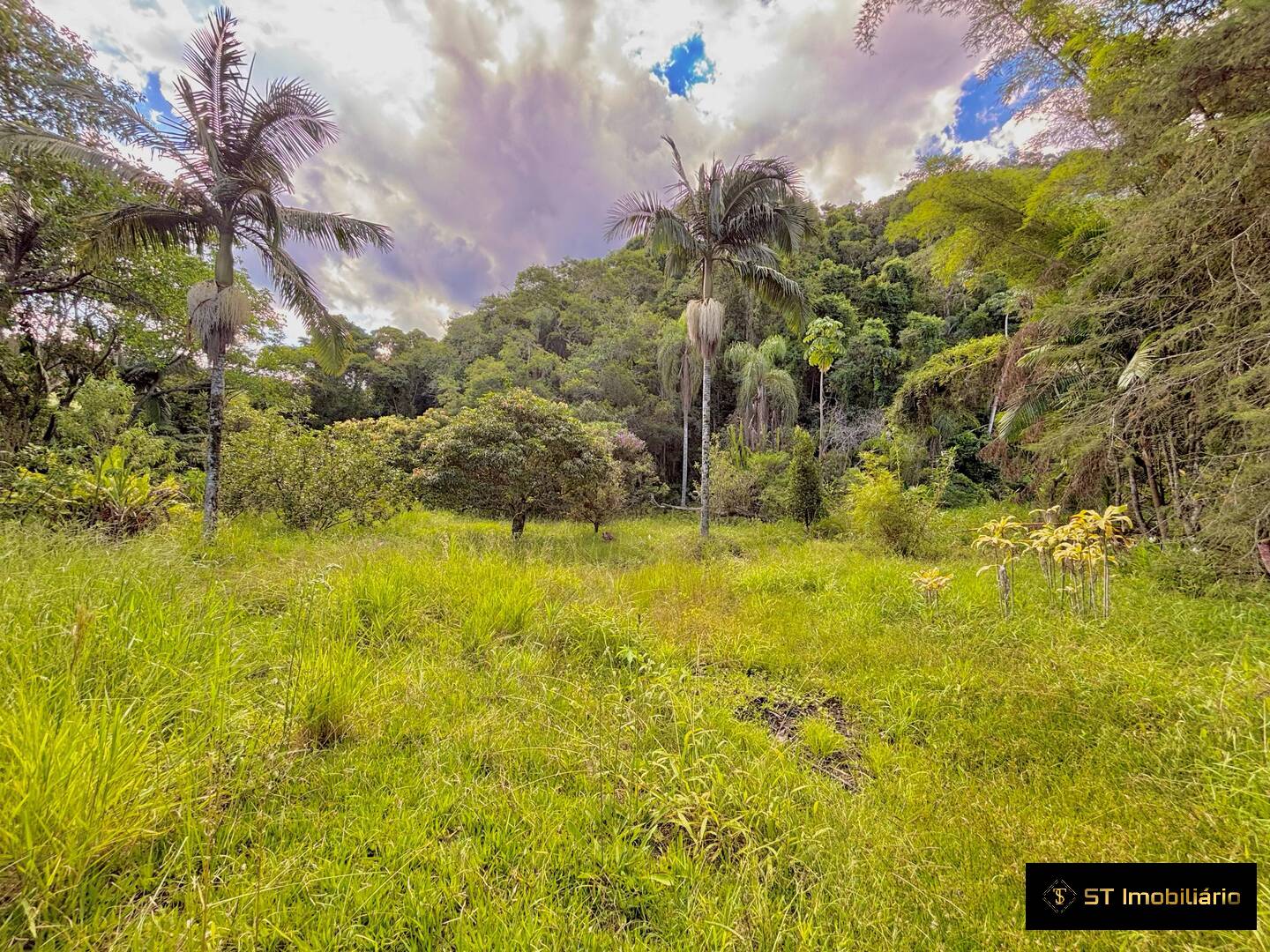 Sítio, 3 quartos, 3 hectares - Foto 13