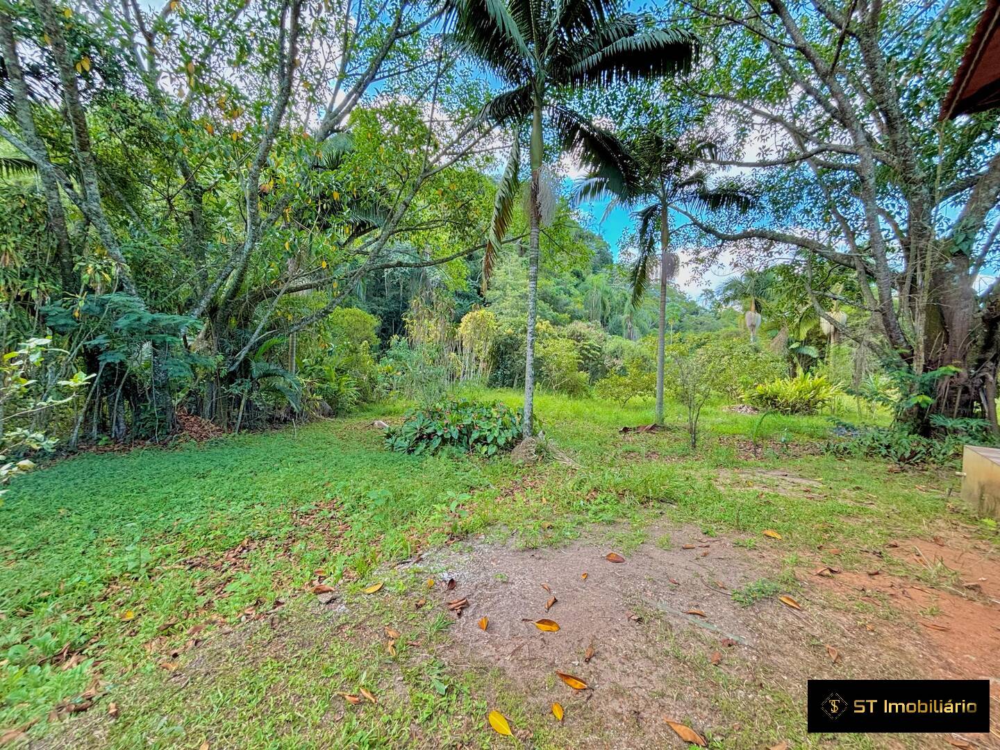 Sítio, 3 quartos, 3 hectares - Foto 16