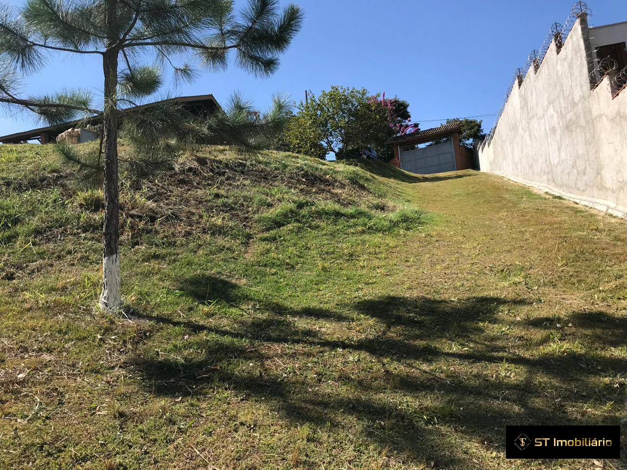 Sítio, 3 quartos, 3115 m² - Foto 18