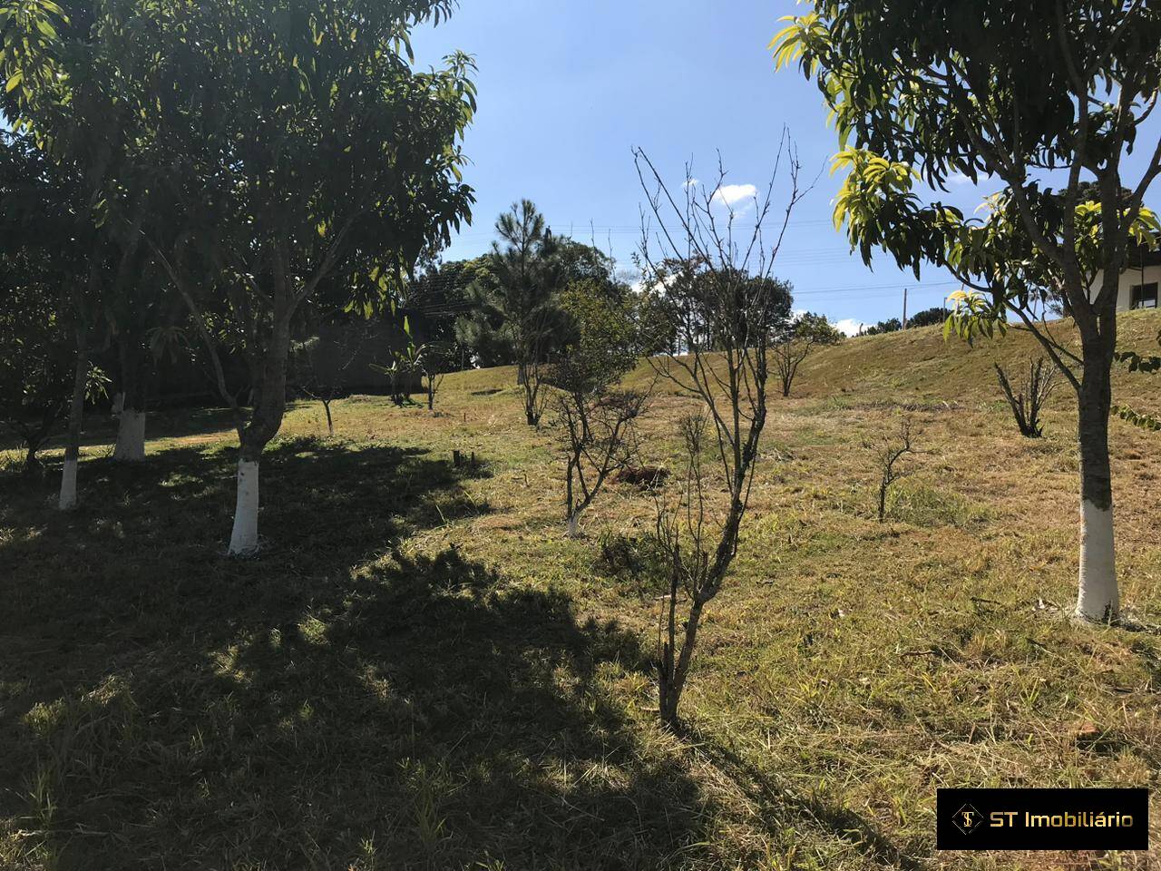 Sítio, 3 quartos, 3115 m² - Foto 8