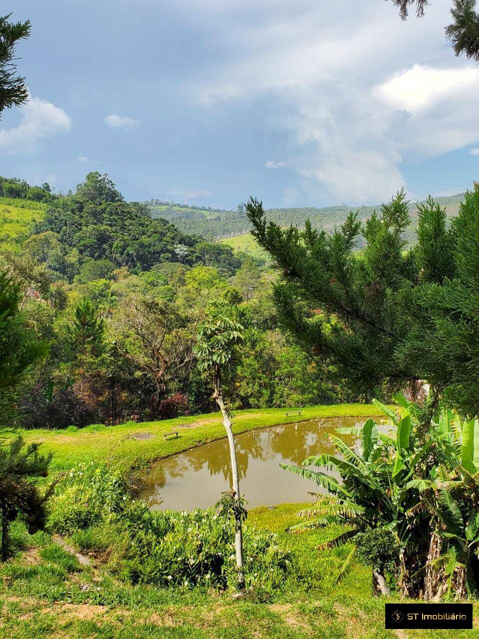 Sítio, 4 quartos, 4 hectares - Foto 4