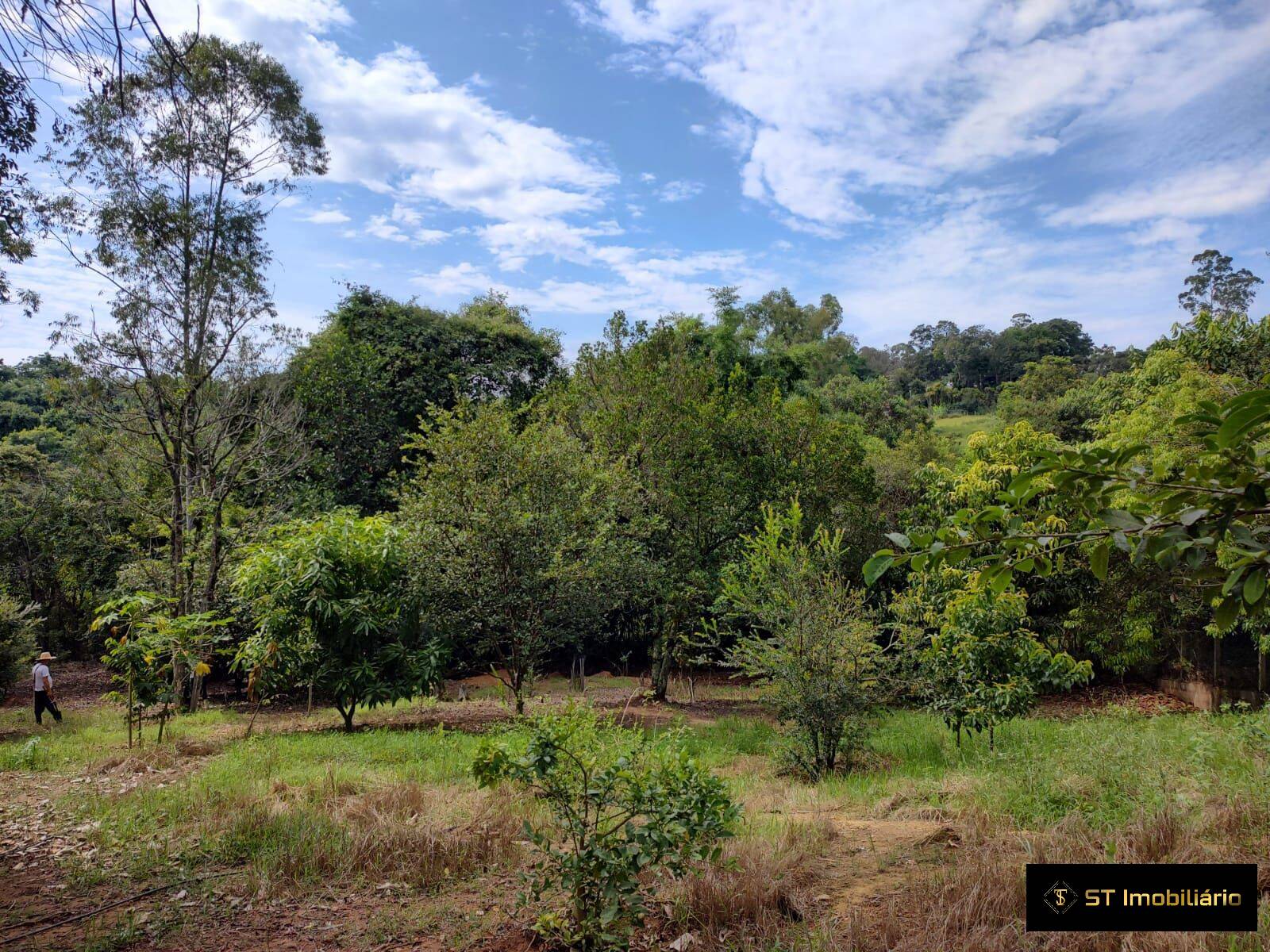 Terreno, 4342 m² - Foto 4