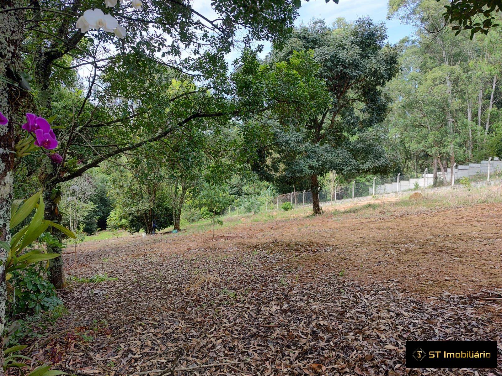 Terreno, 4342 m² - Foto 11