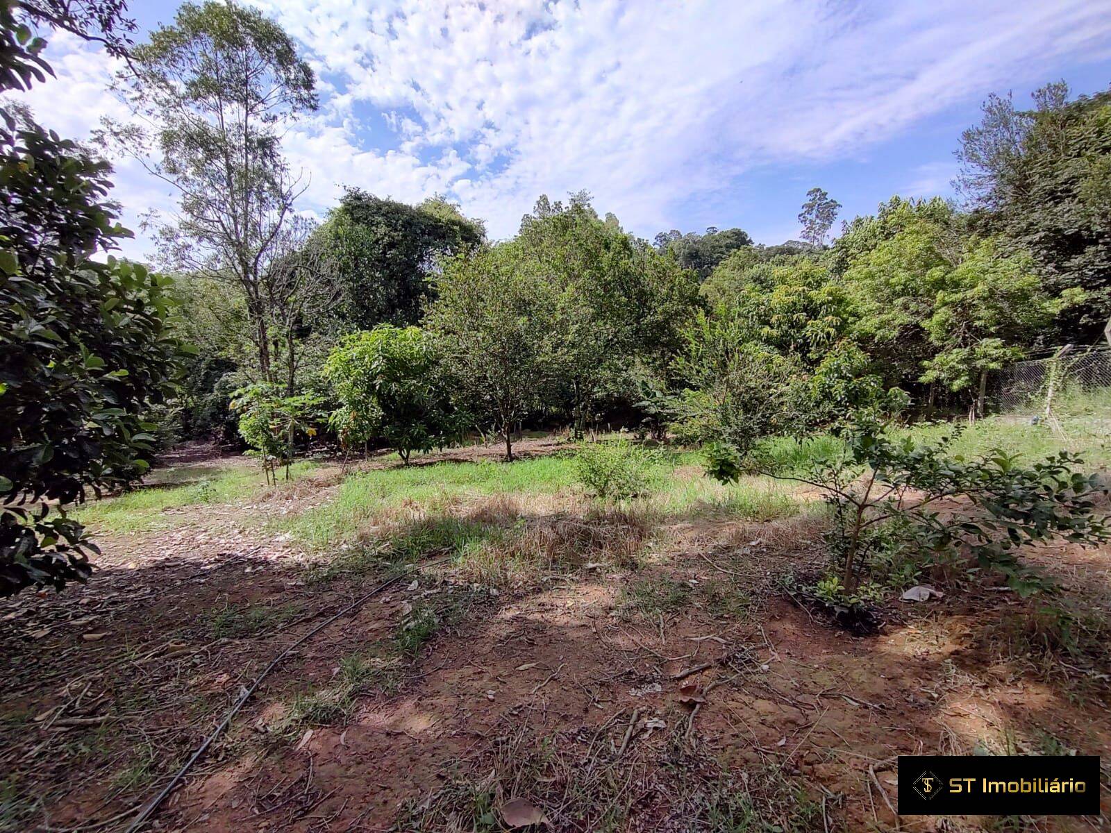 Terreno, 4342 m² - Foto 6