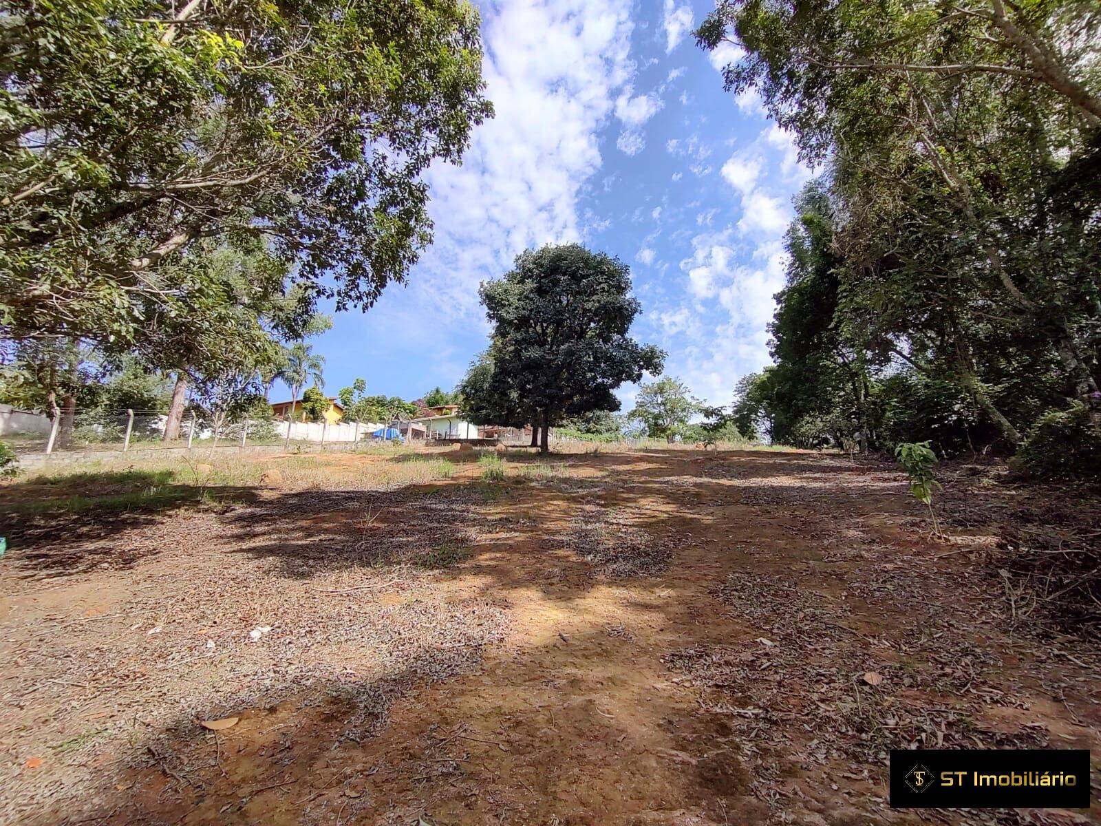 Terreno, 4342 m² - Foto 5