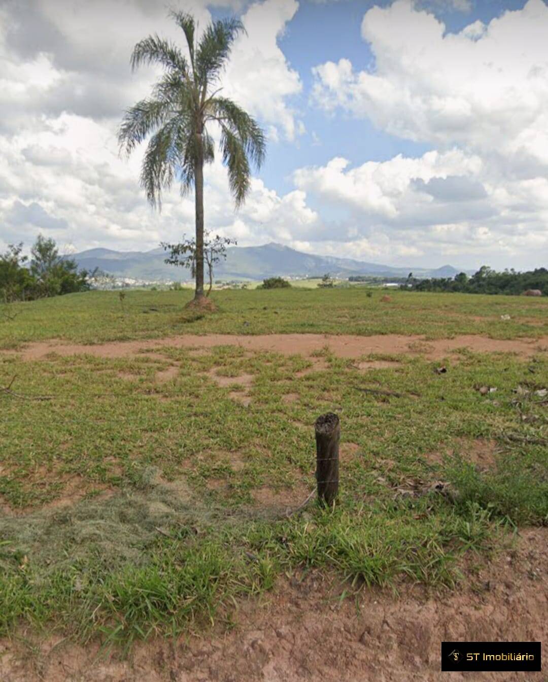 Terreno à venda, 31000m² - Foto 3