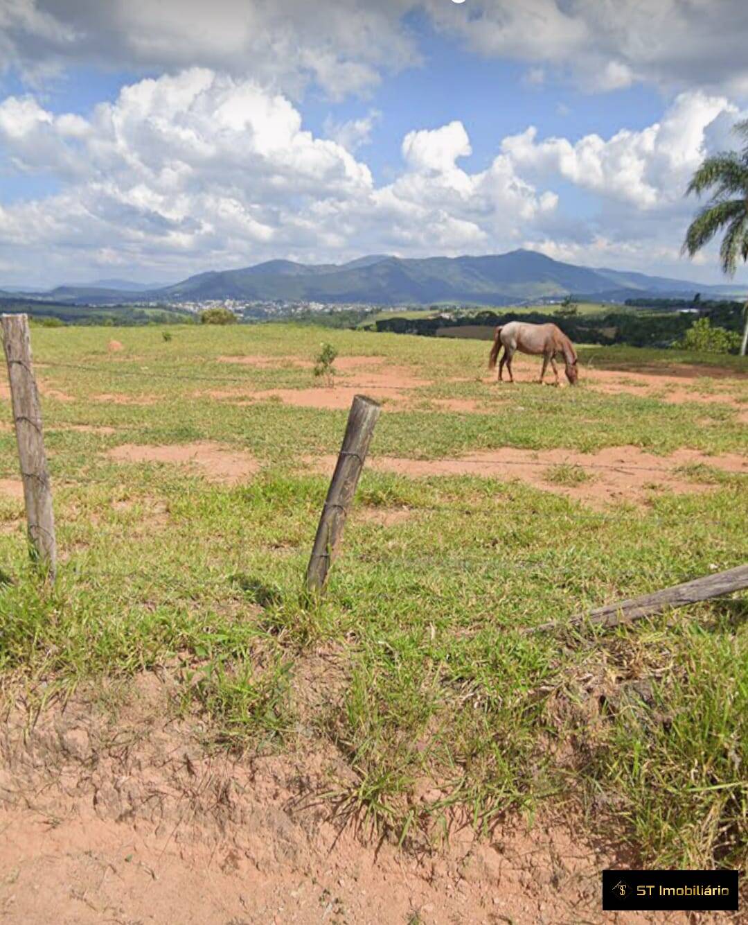 Terreno à venda, 31000m² - Foto 4