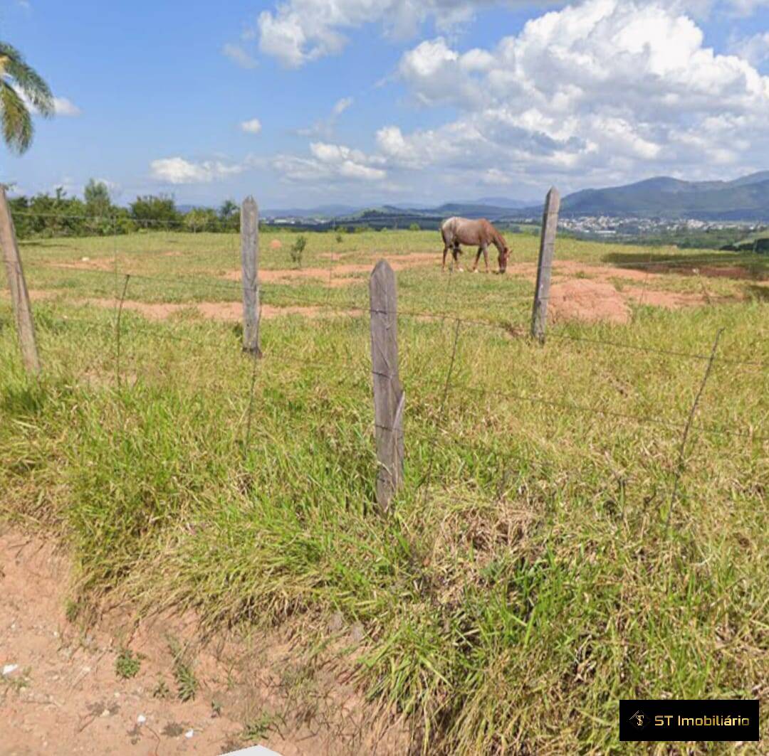 Terreno à venda, 31000m² - Foto 5