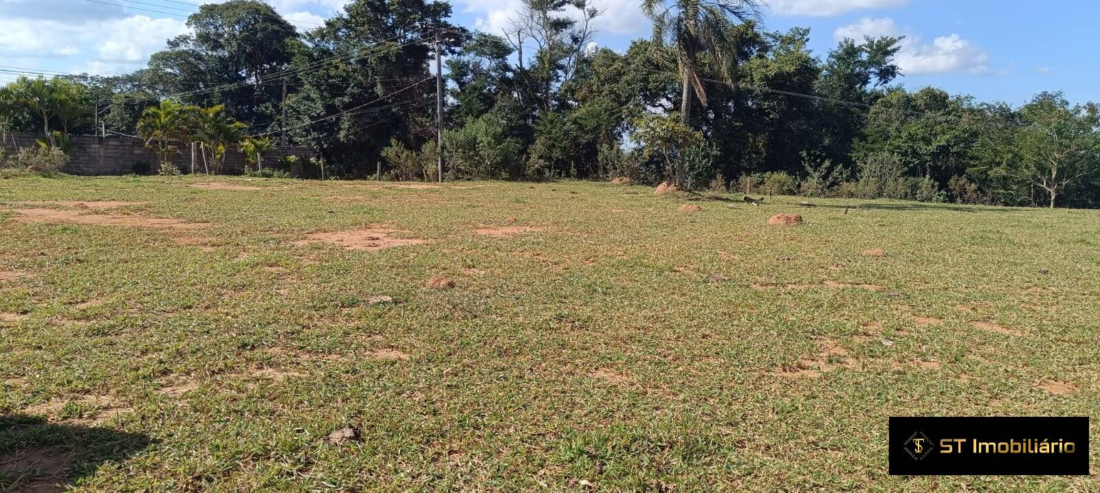 Terreno à venda, 31000m² - Foto 7