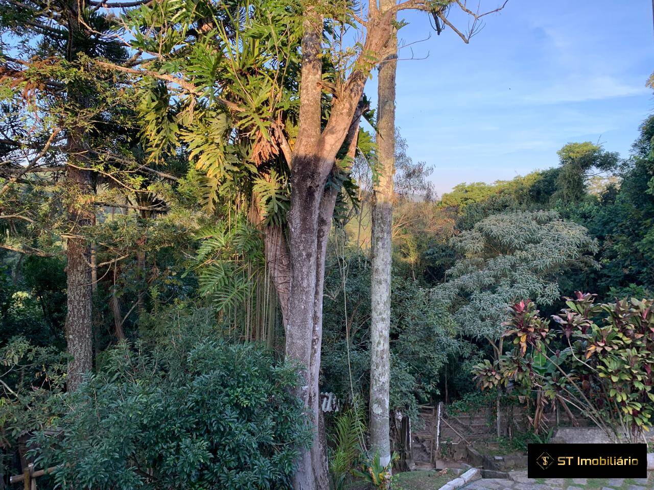 Conjunto Comercial-Sala à venda, 2047m² - Foto 17
