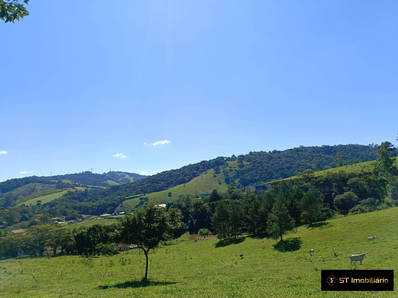 Terreno, 2 hectares - Foto 1