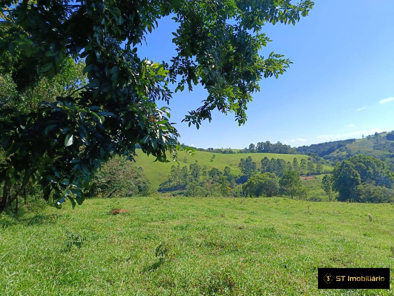 Terreno, 2 hectares - Foto 3