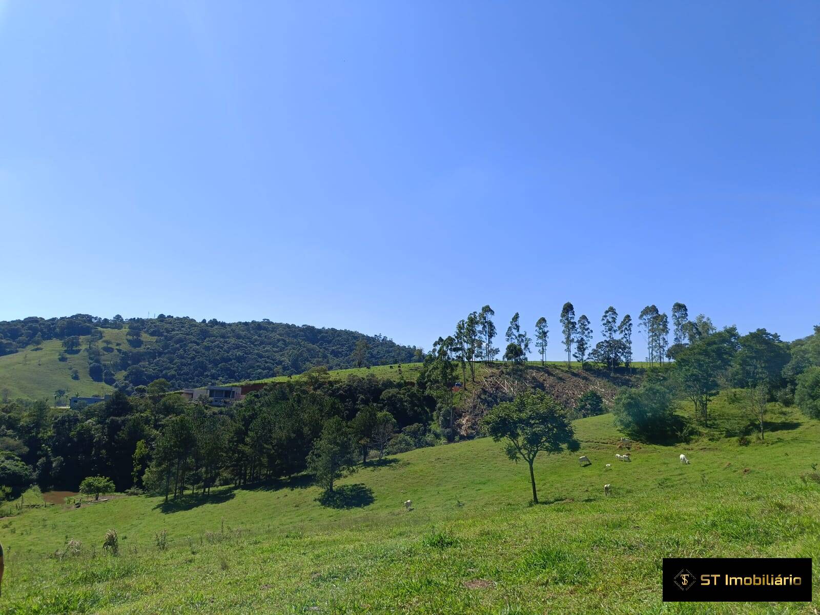 Terreno, 2 hectares - Foto 6